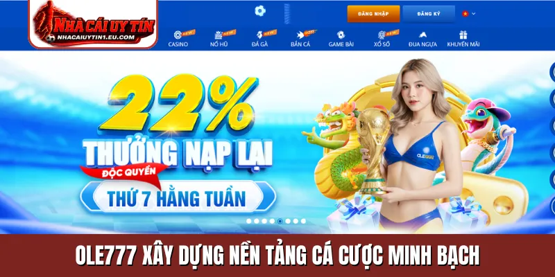 OLE777 xây dựng nền tảng cá cược minh bạch