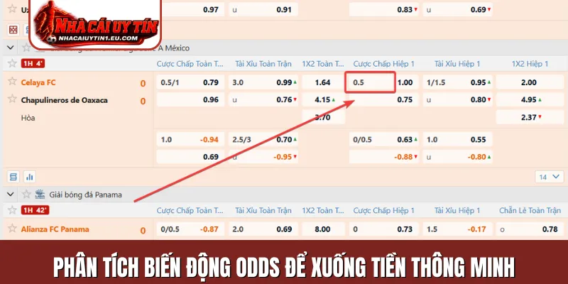 Phân tích biến động odds để xuống tiền thông minh