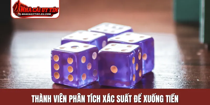 Thành viên phân tích xác suất để xuống tiền